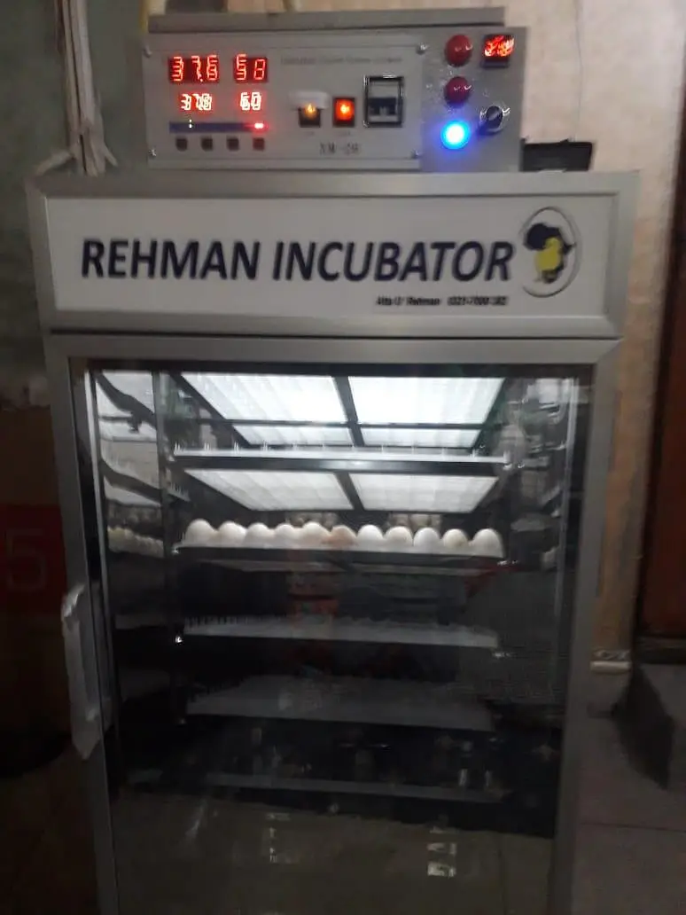 Incubator for 660 eggs — photo 3