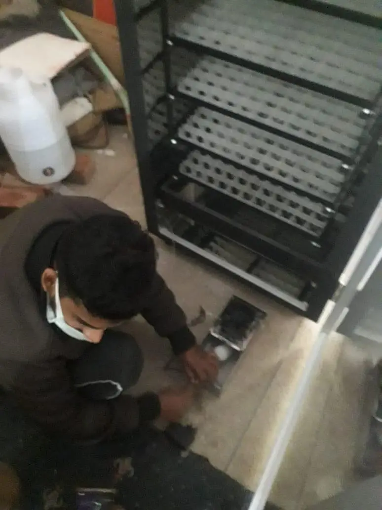 Incubator for 660 eggs — photo 4