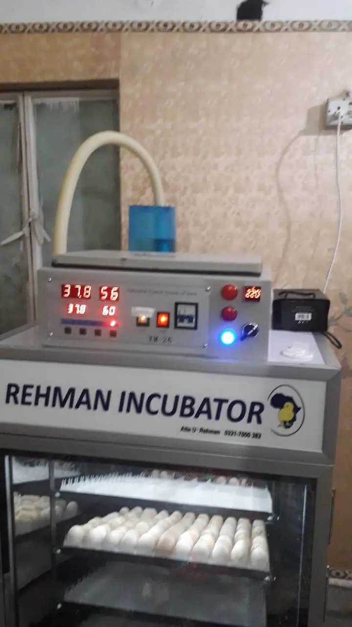 Incubator for 660 eggs — photo 5