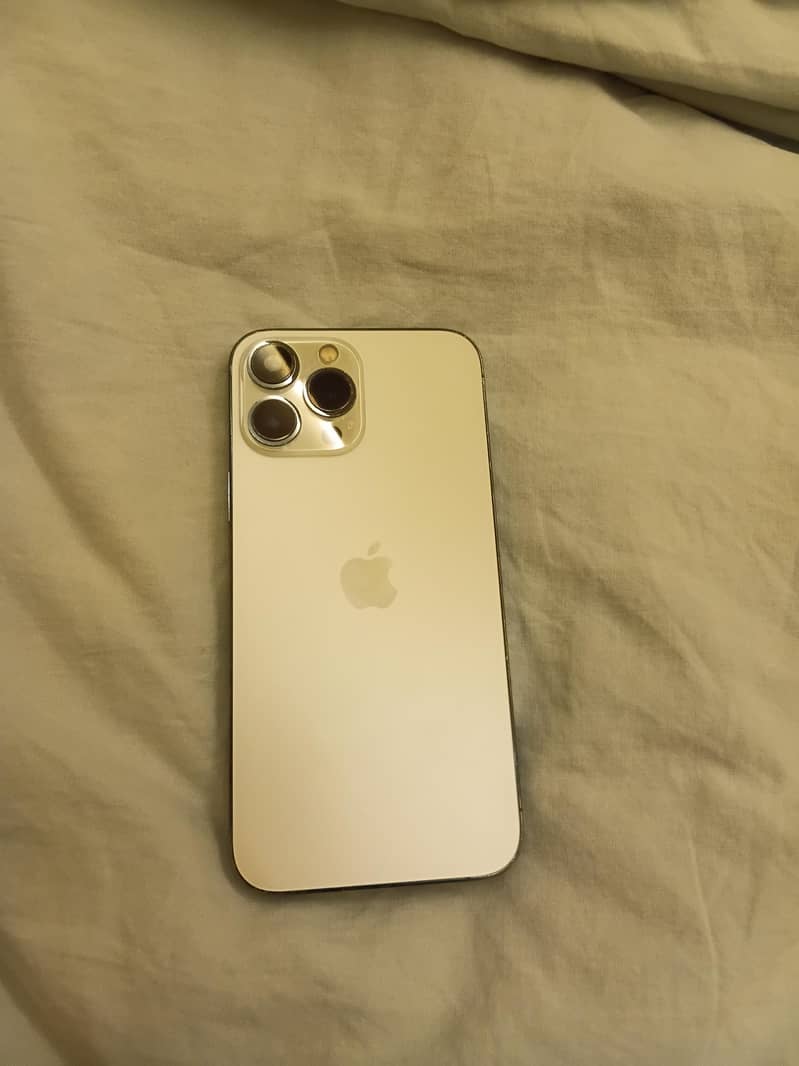 Apple iPhone 13 Pro Max 1