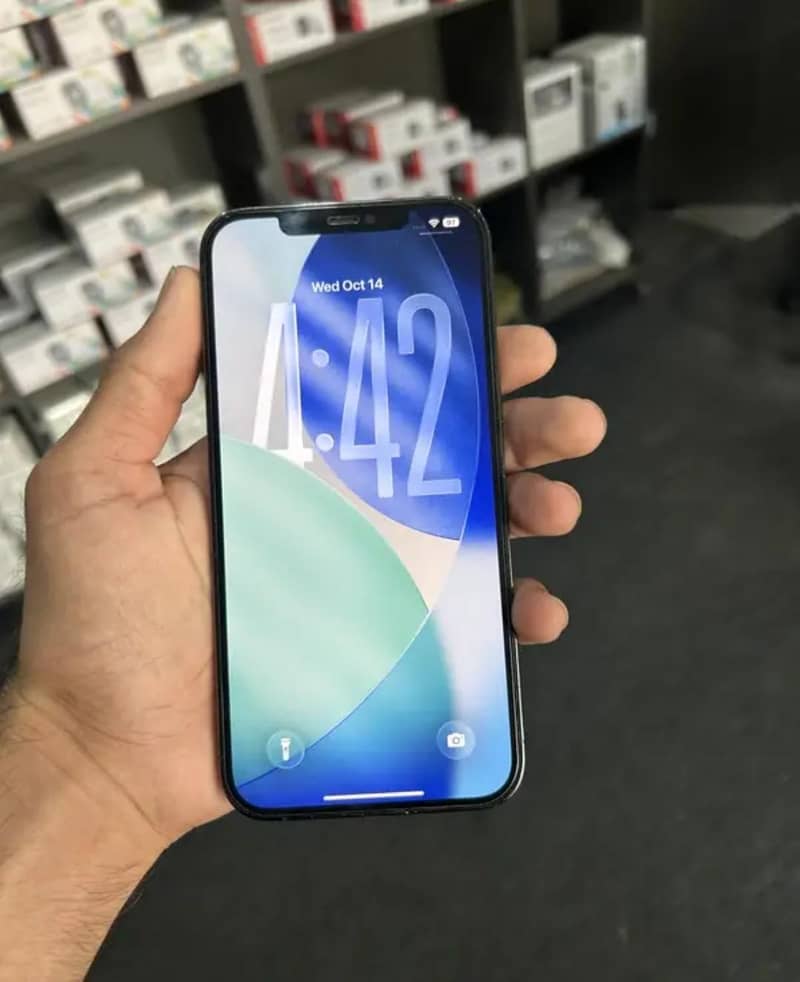 iPhone 12 Pro Max 4
