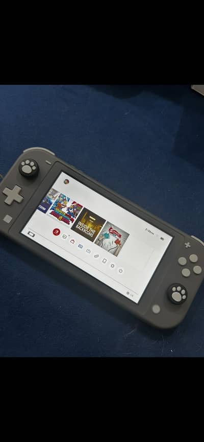 Nintendo switch lite