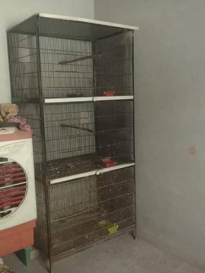 cage for raw ,ringneck and African grey