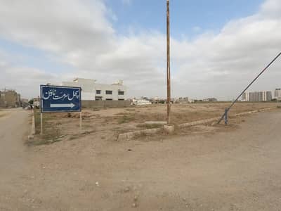 SACHAL Sarmast Town