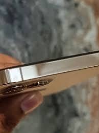 Apple iPhone 12 Pro Max 1