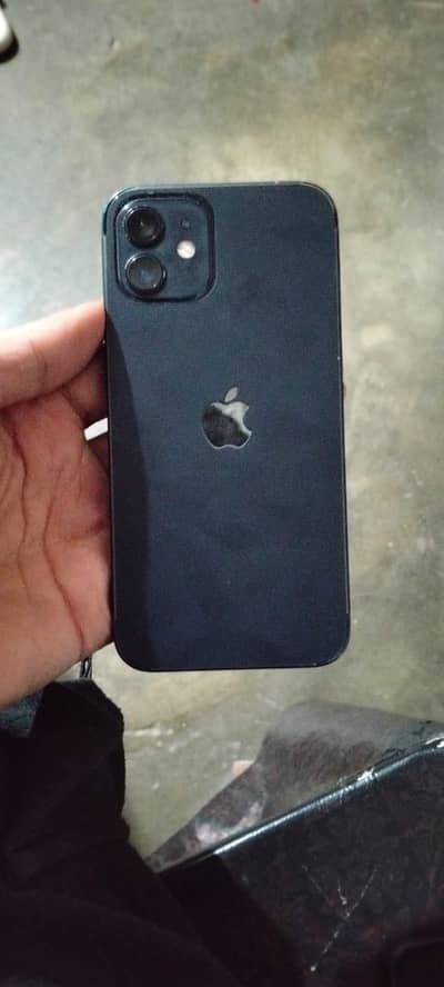 iPhone 12