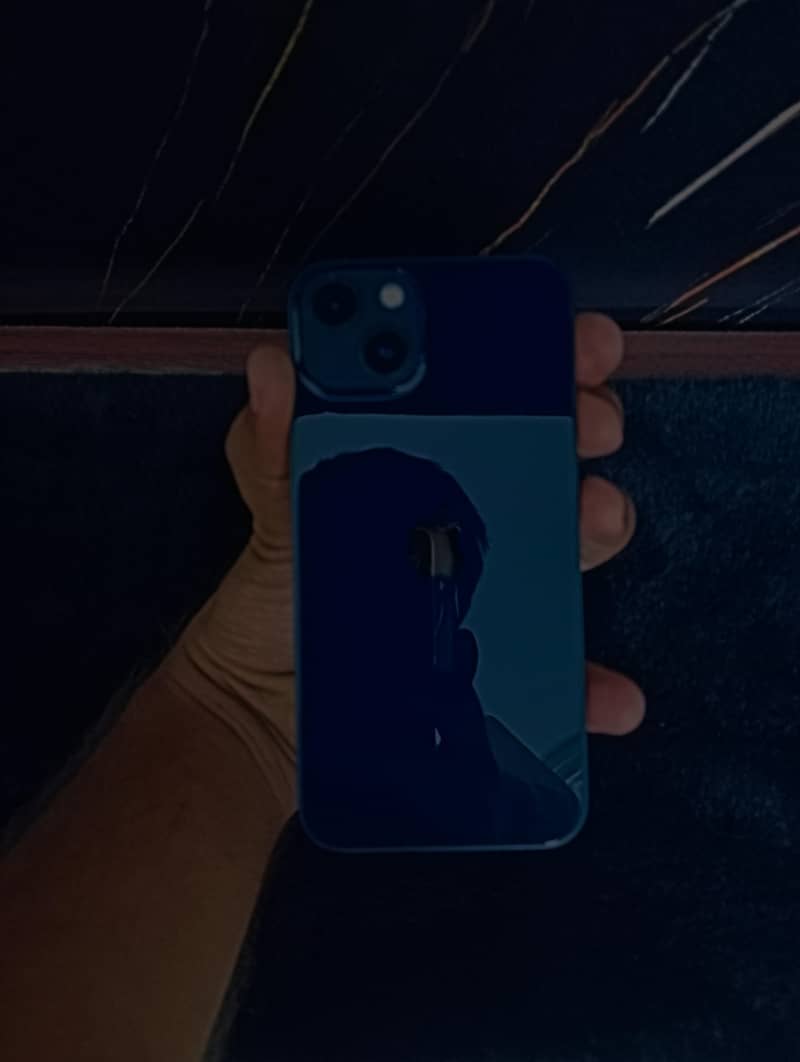 Apple iPhone 13 0