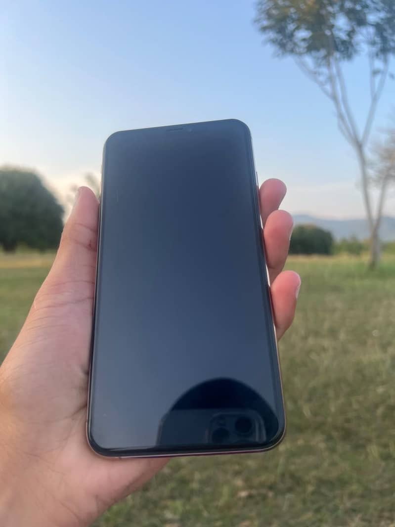 Apple iPhone XS Max 0