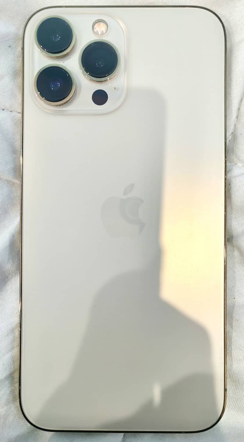 Apple iPhone 13 Pro Max 1
