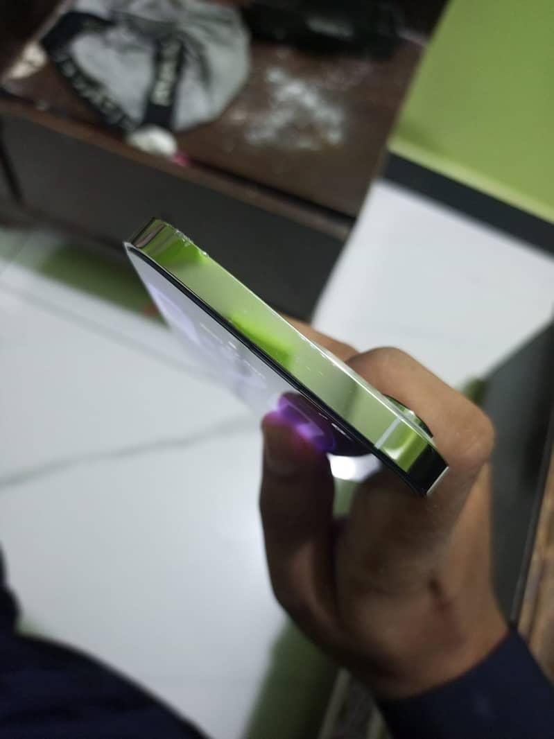 Apple iPhone 13 Pro Max 1