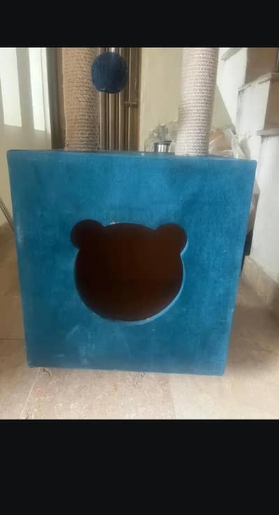 Cat Scratching Box for Cats