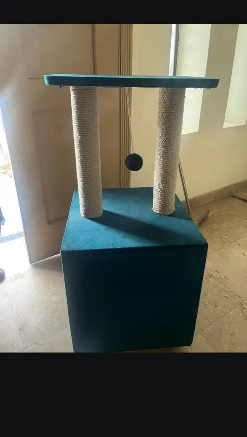 Cat Scratching Box for Cats — photo 3