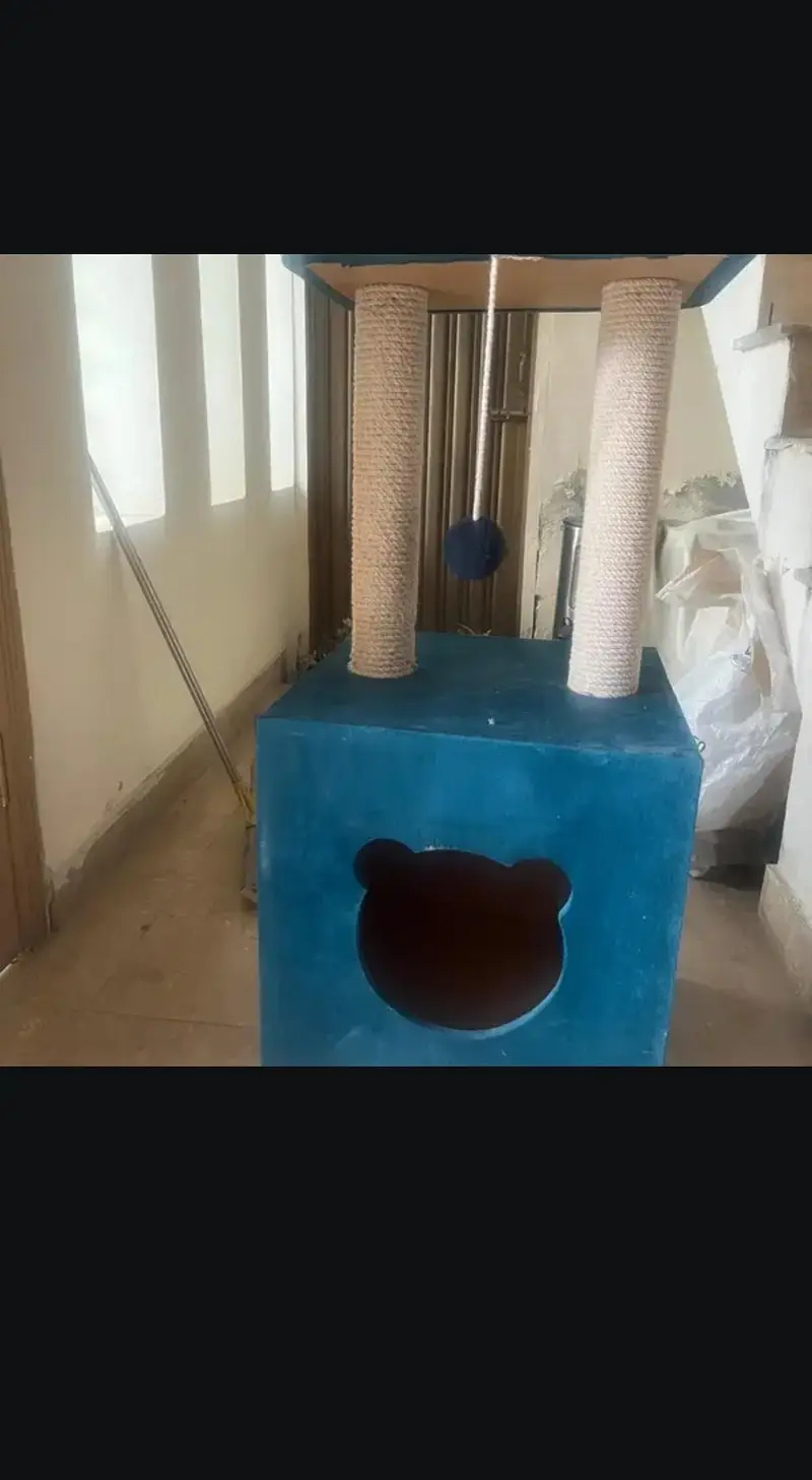 Cat Scratching Box for Cats — photo 4