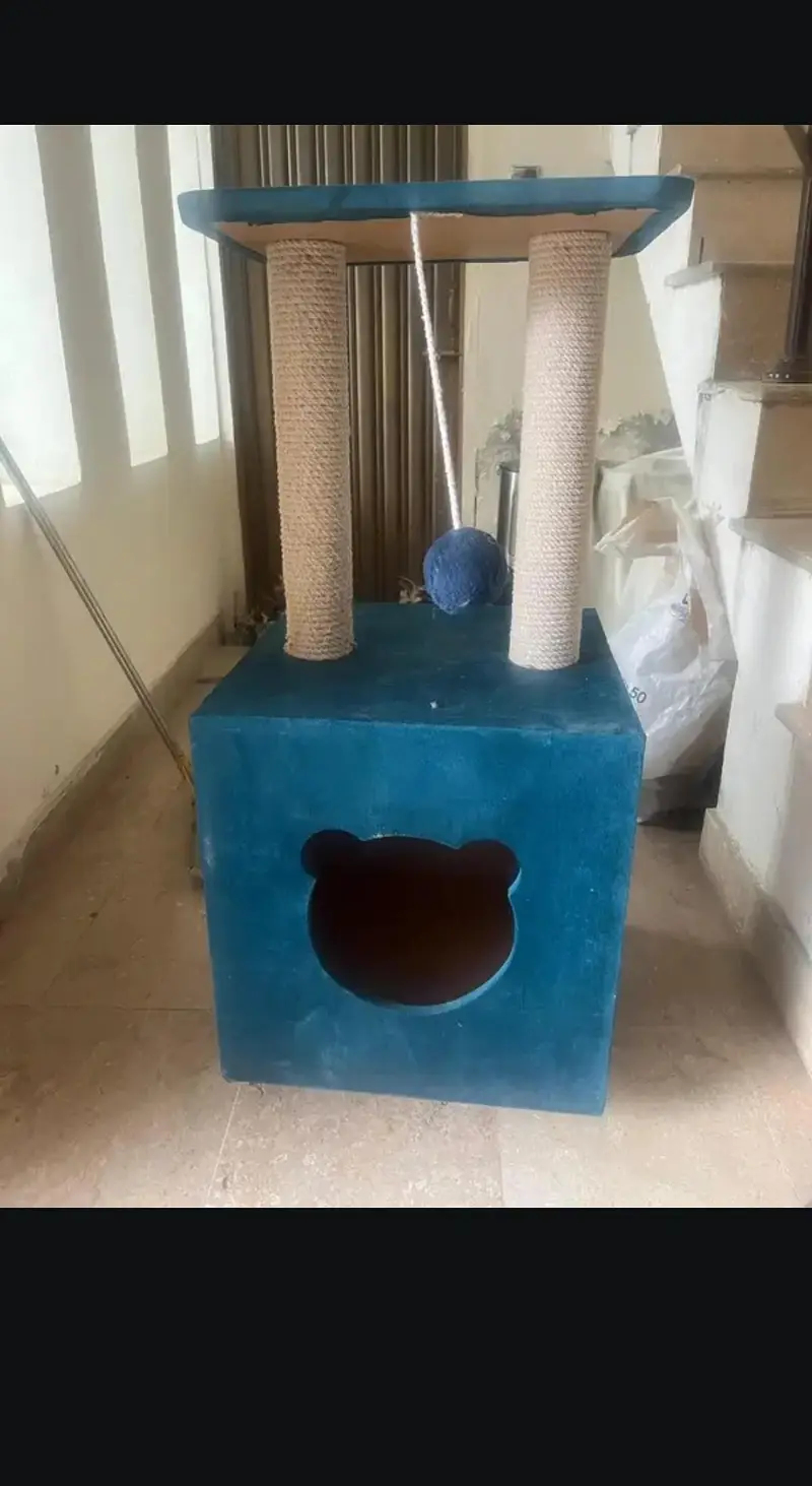 Cat Scratching Box for Cats — photo 5