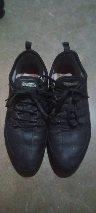 Geox Original imported sneakers