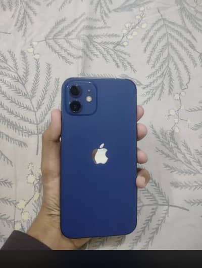 Apple iPhone 12 PTA Approved 128 gb
