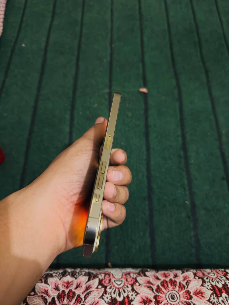 Apple iPhone 14 Pro Max 4