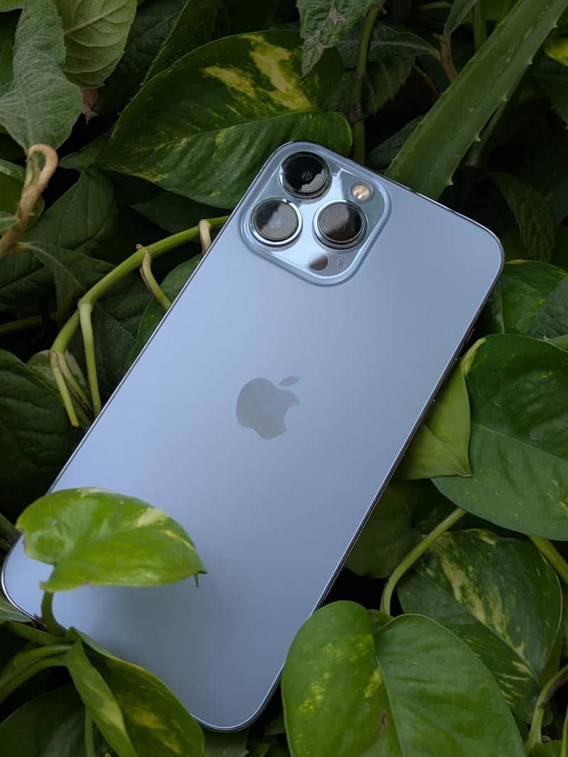 Apple iPhone 13 Pro Max 1