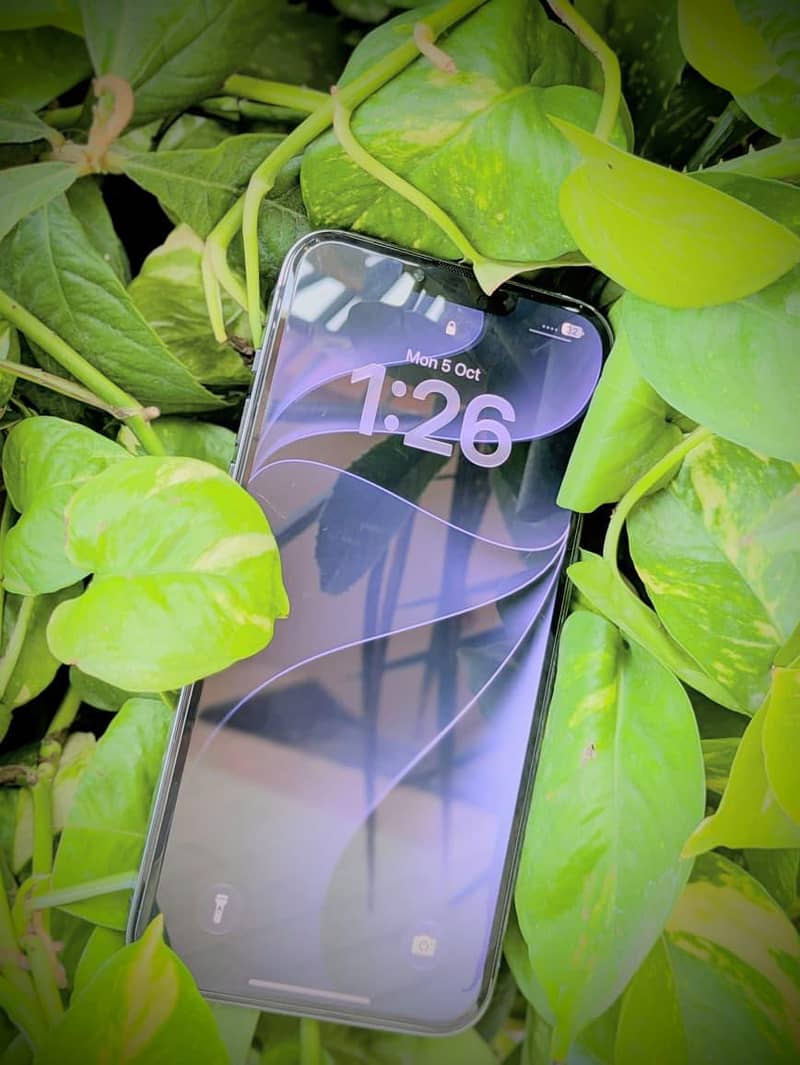 Apple iPhone 13 Pro Max 2