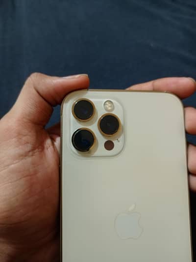Apple iPhone 12 Pro Max