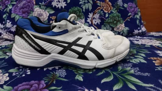 Original Cricket Spikes Shoes Asics