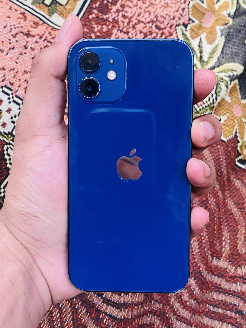 Apple iPhone 12 0