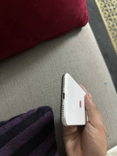 Apple iPhone SE | PTA APPROVED