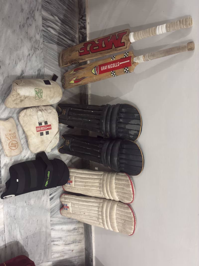 2 crickets kit 1