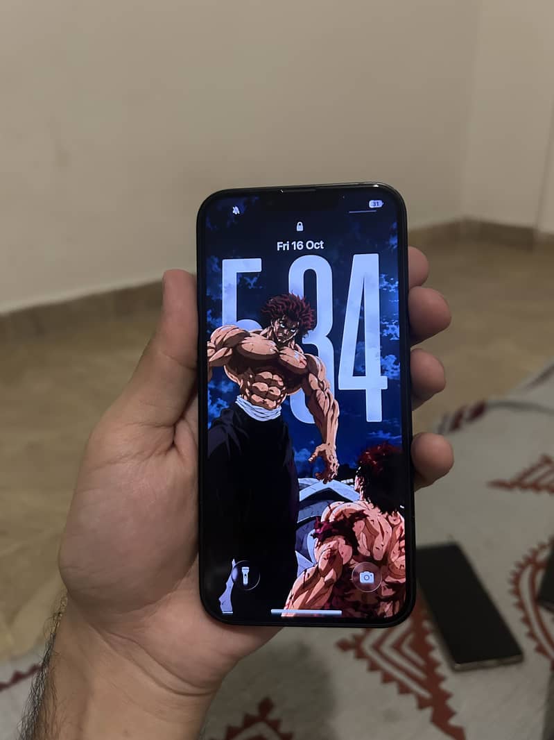 Apple iPhone 16e 13