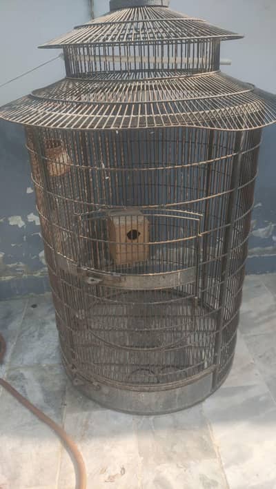 cage for sale