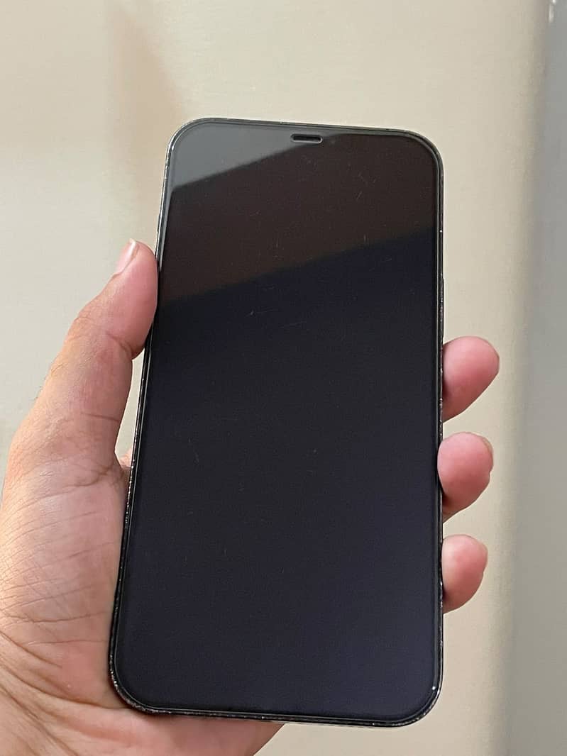 Apple iPhone 12 Pro Max 1