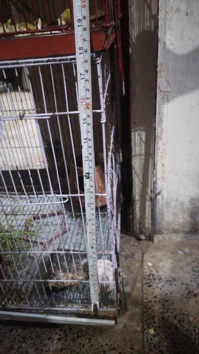 Cages For Sale