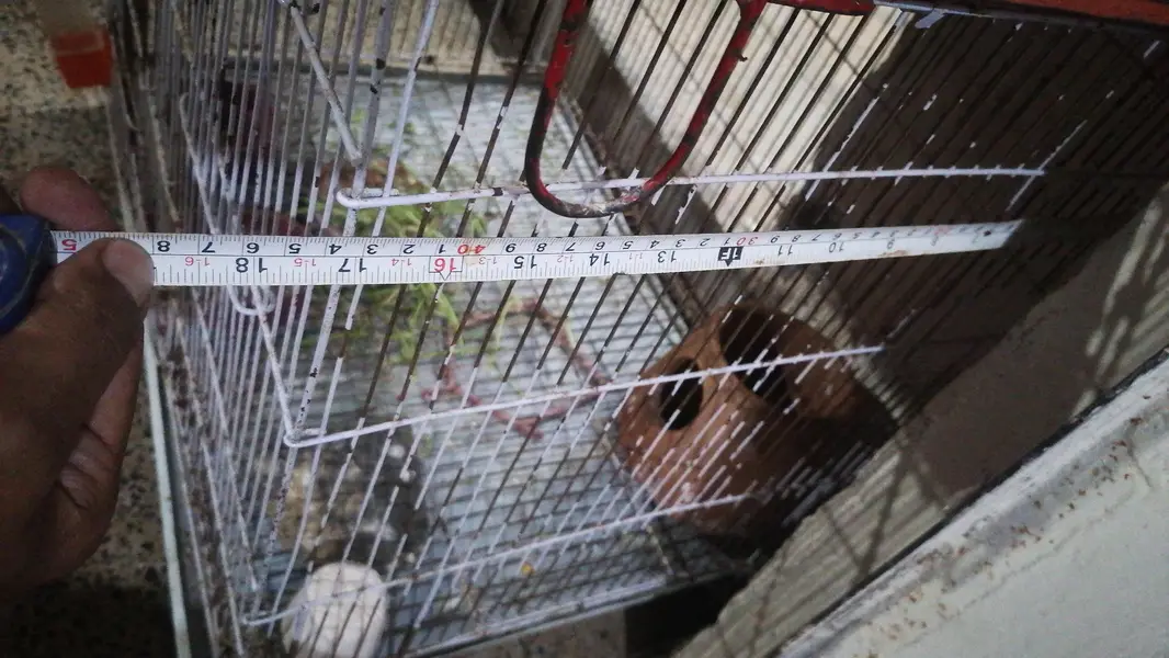 Cages For Sale — photo 2