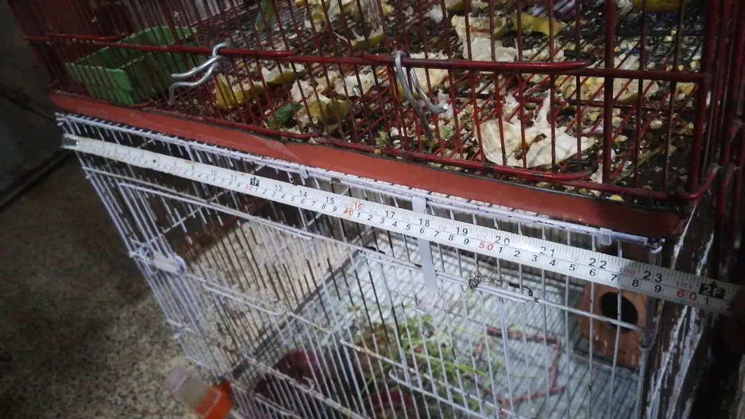 Cages For Sale — photo 3
