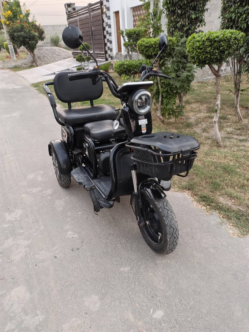Ev Bike 0