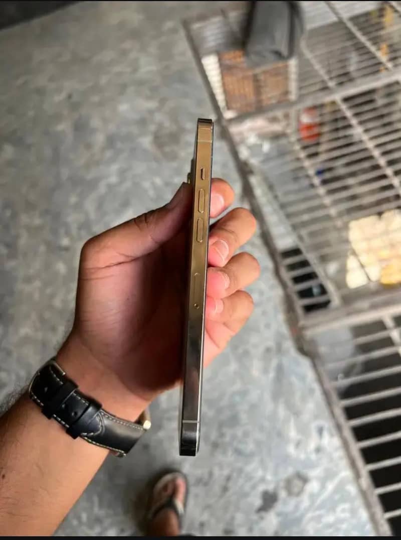Iphone 12 pro max JV 4
