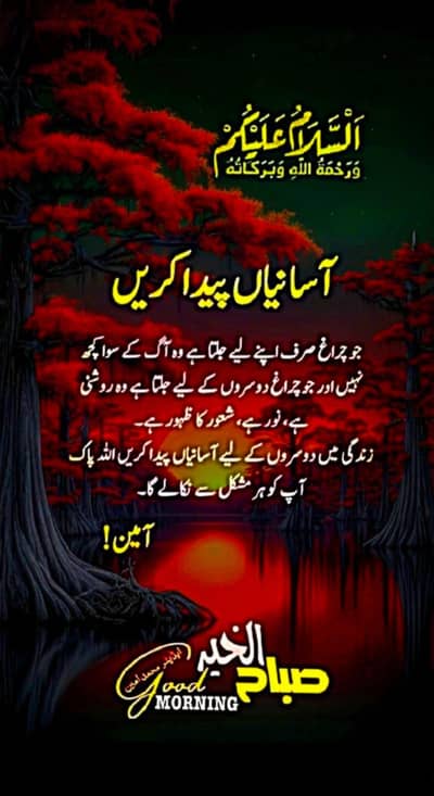 اوورسیز پاکستانی خالی گھر