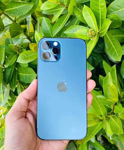 Apple iPhone 12 Pro official PTA approved