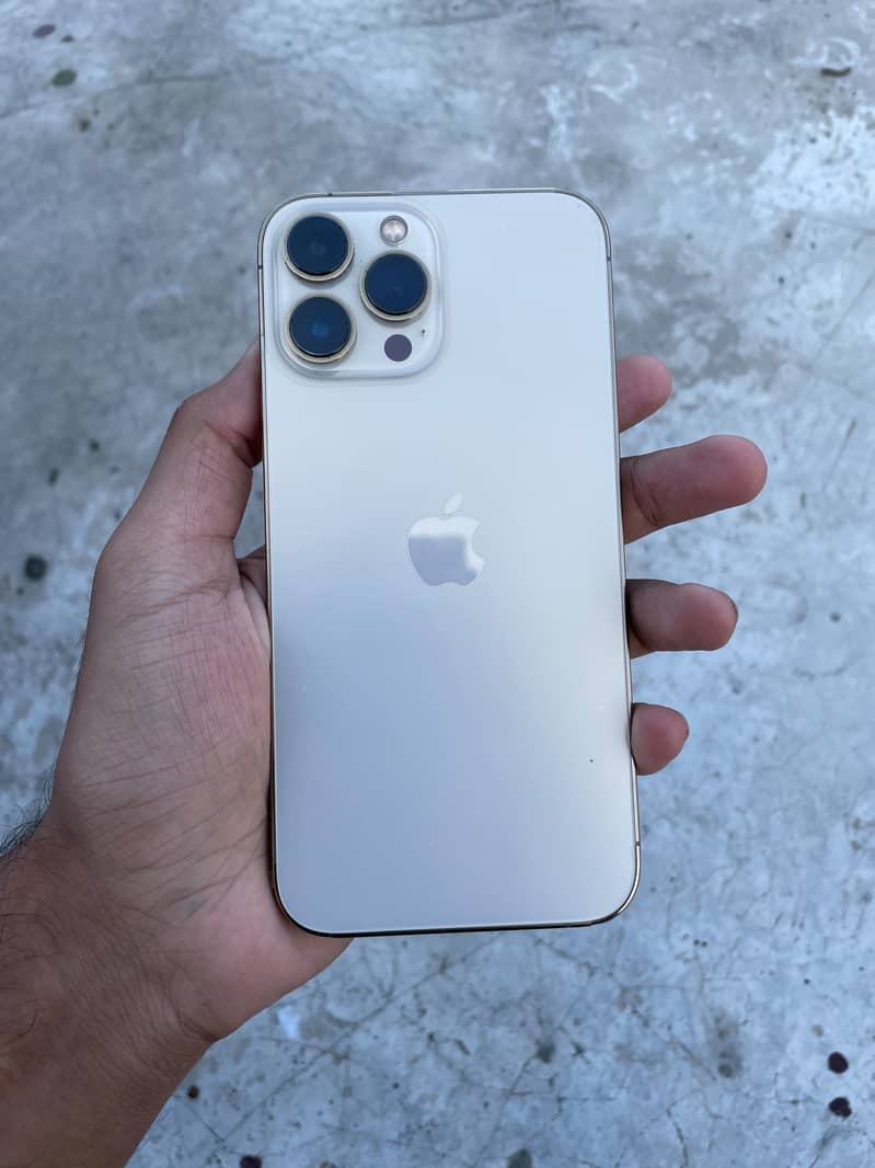 Apple iPhone 13 Pro Max 0
