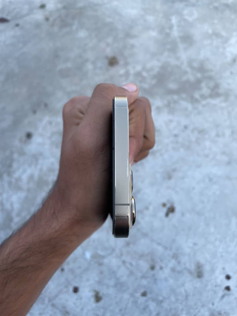 Apple iPhone 13 Pro Max 1