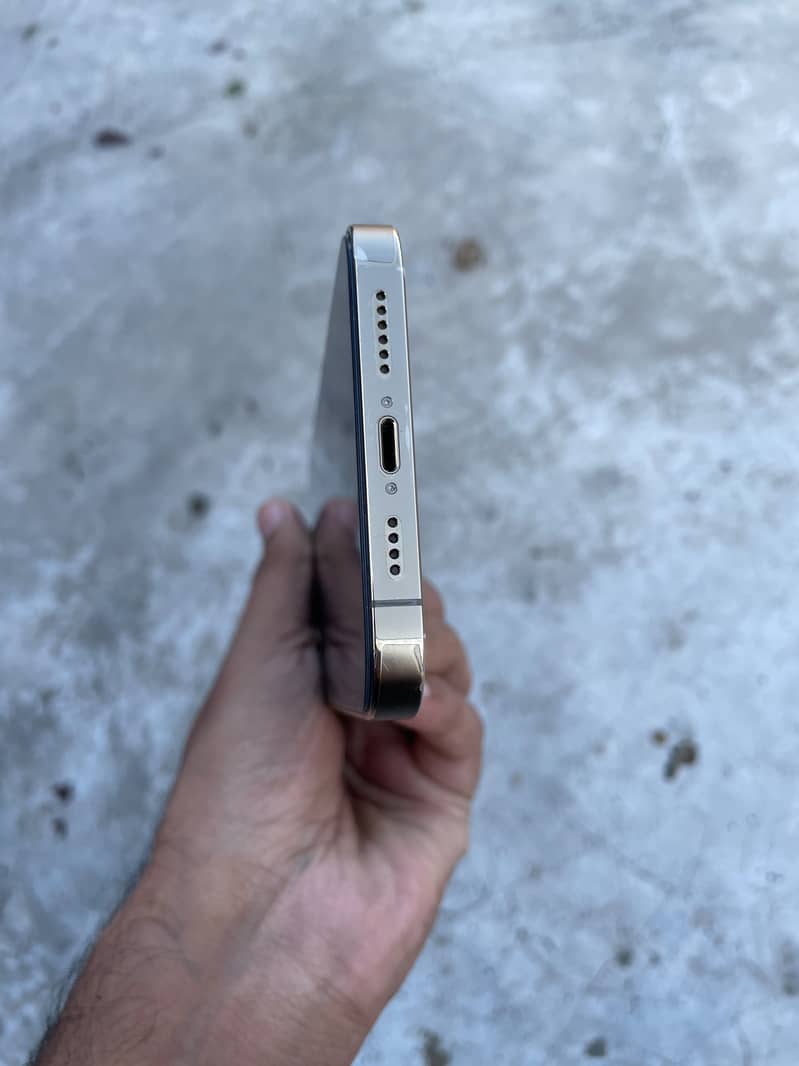 Apple iPhone 13 Pro Max 3