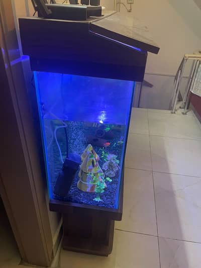 Complete Aquarium Setup