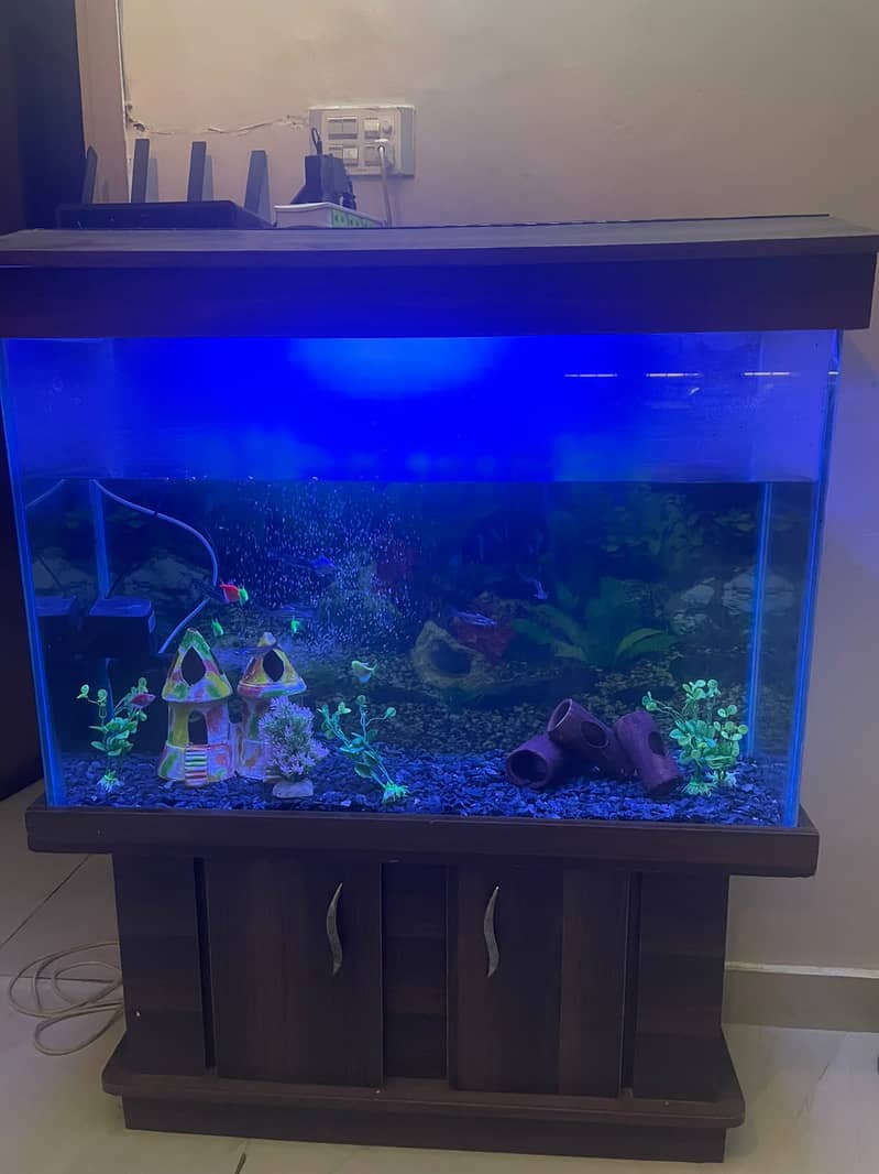 Complete Aquarium Setup 1