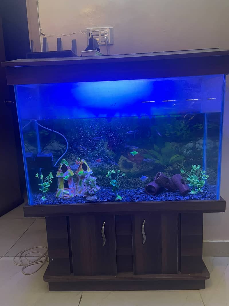 Complete Aquarium Setup 2