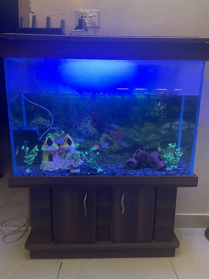 Complete Aquarium Setup 3