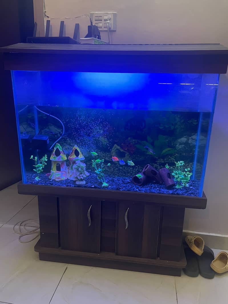 Complete Aquarium Setup 5