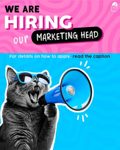 Marketing and Content Head