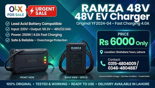 Ramza 48V EV Electric charger for Scooties and electric bikes