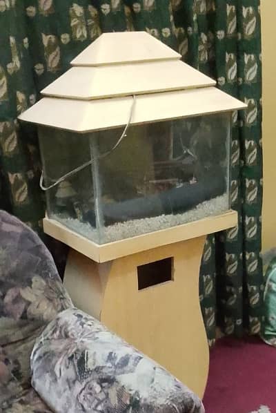 fish aquarium