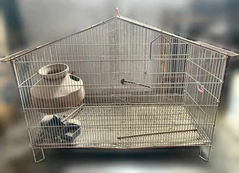 Bird Cage with Gabled Roof, Clay Pot Feeder and Perches — photo 2
